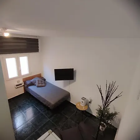 Estudioarona *